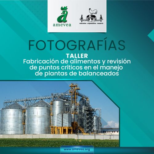 Fabricación de alimentos y revisión de puntos críticos en el manejo de plantas de balanceados