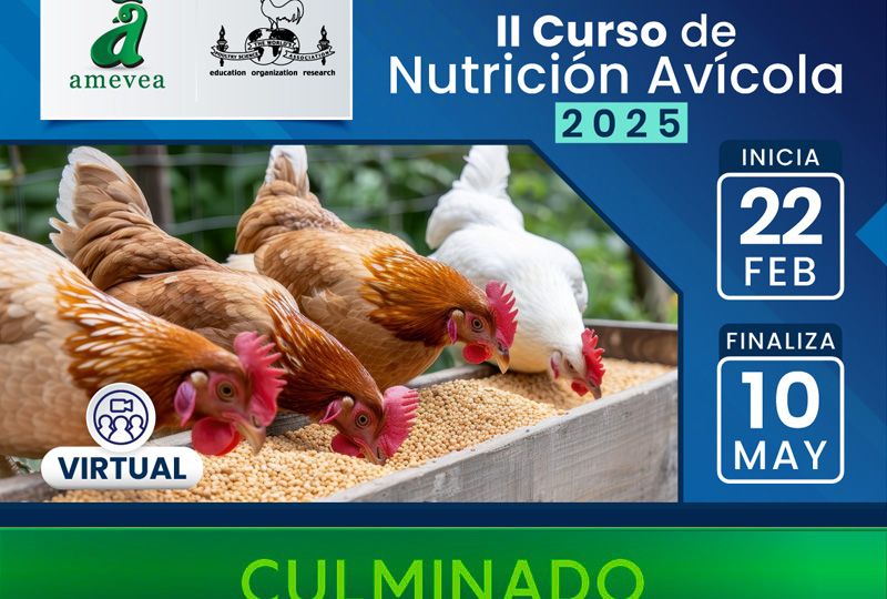 II_curso_nutricion_avicola-culminado