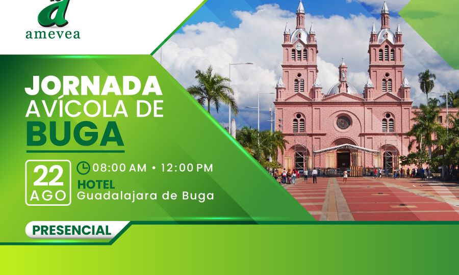jornada_avicola_de_buga_web