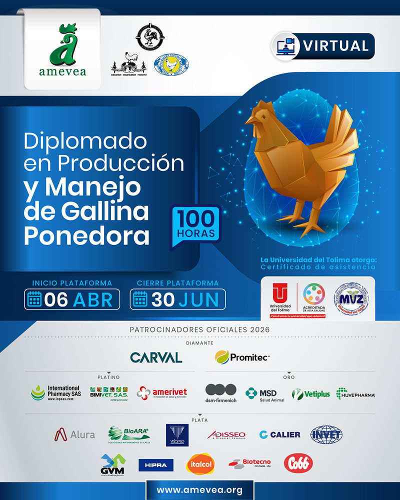 produccion_ponedora-01_19feb