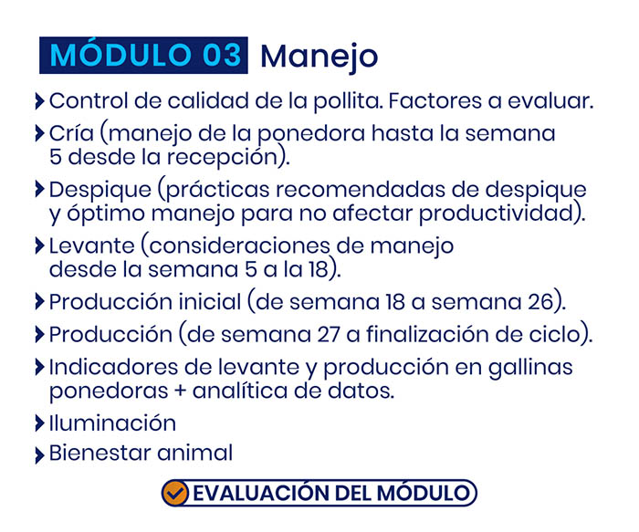 produccion_ponedora_modulo_web-02