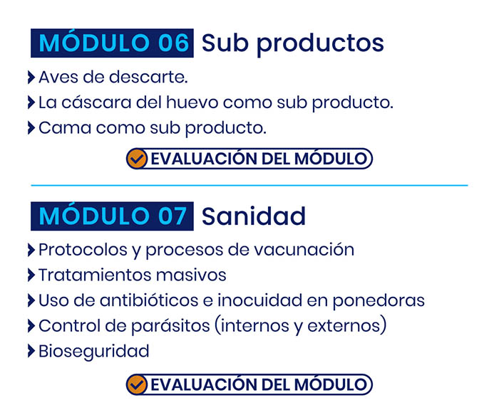 produccion_ponedora_modulo_web-04