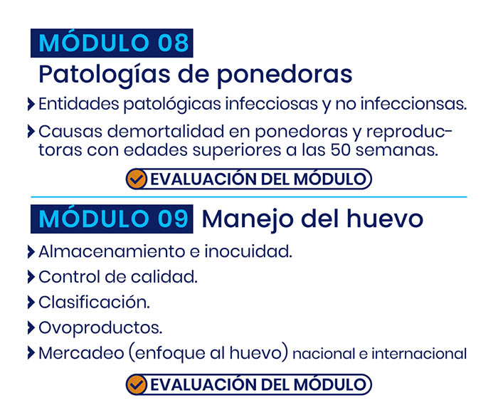 produccion_ponedora_modulo_web-05
