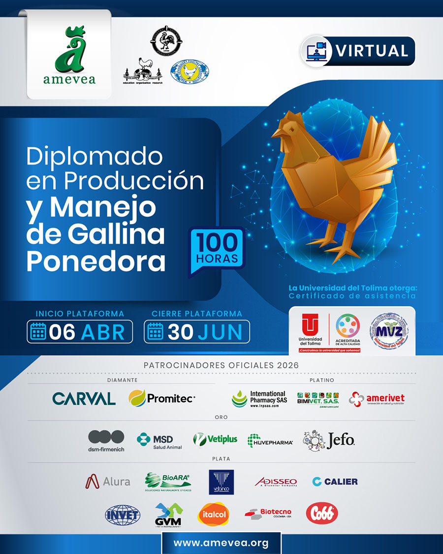 produccion_ponedora-01_06mar