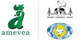 amevea